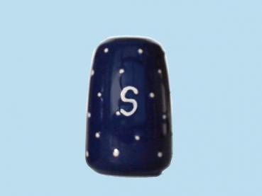 Salt Shaker Blue 1 point